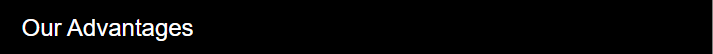 our advantages.png