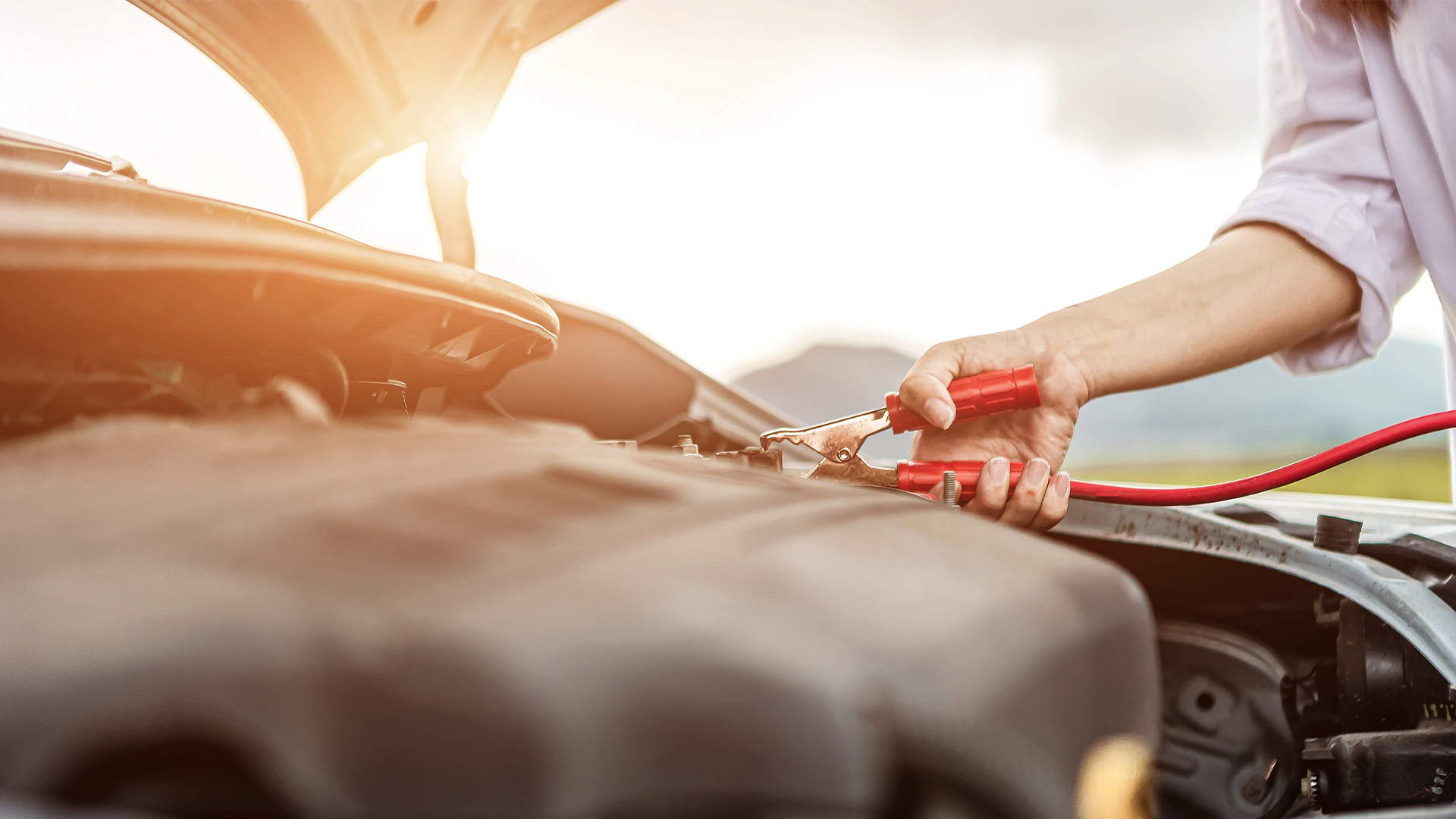 Cabin Air Filter  1J0819439